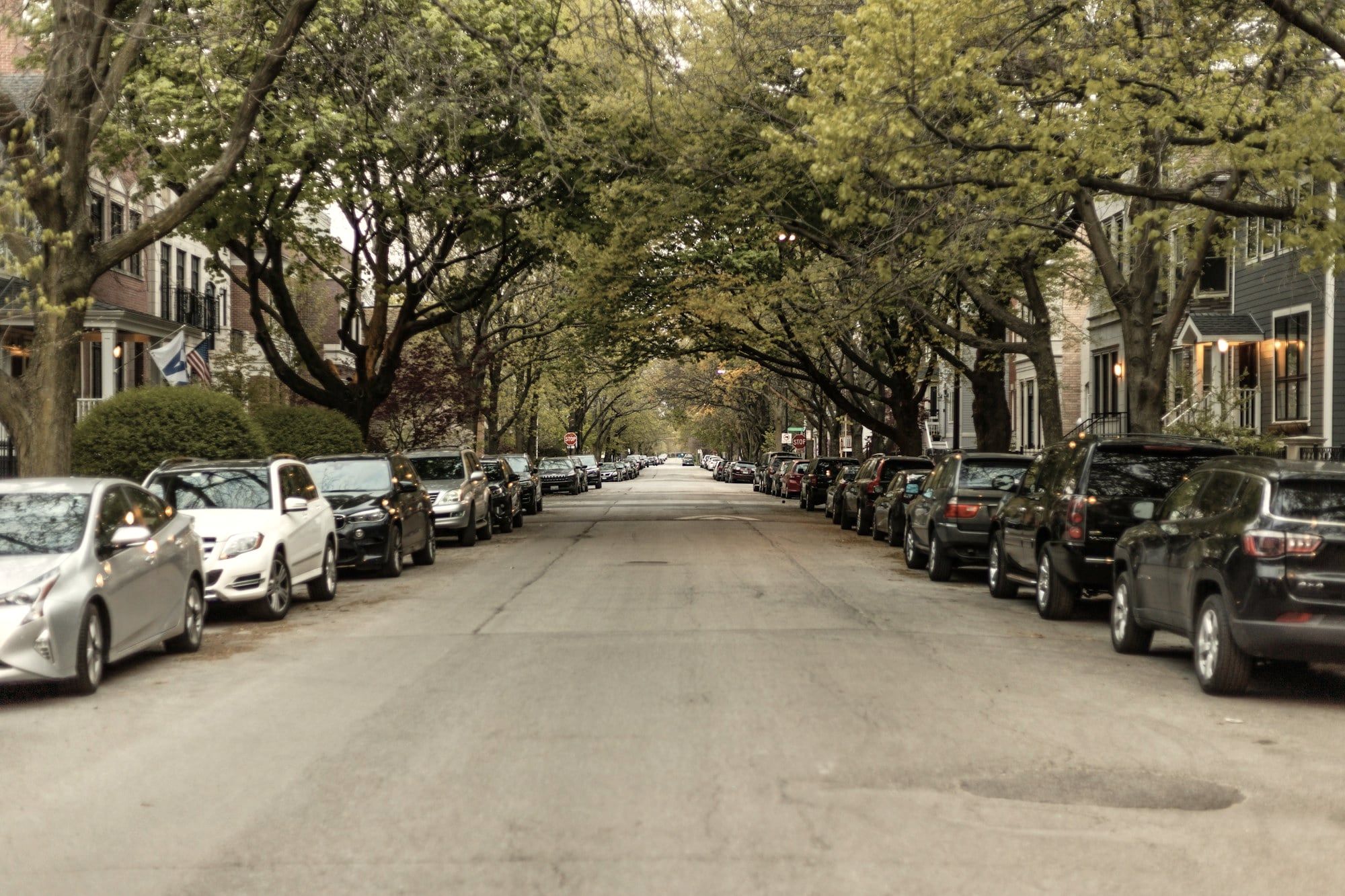 A Chicago residential street under a canopy of trees, with cars parked along both curbs